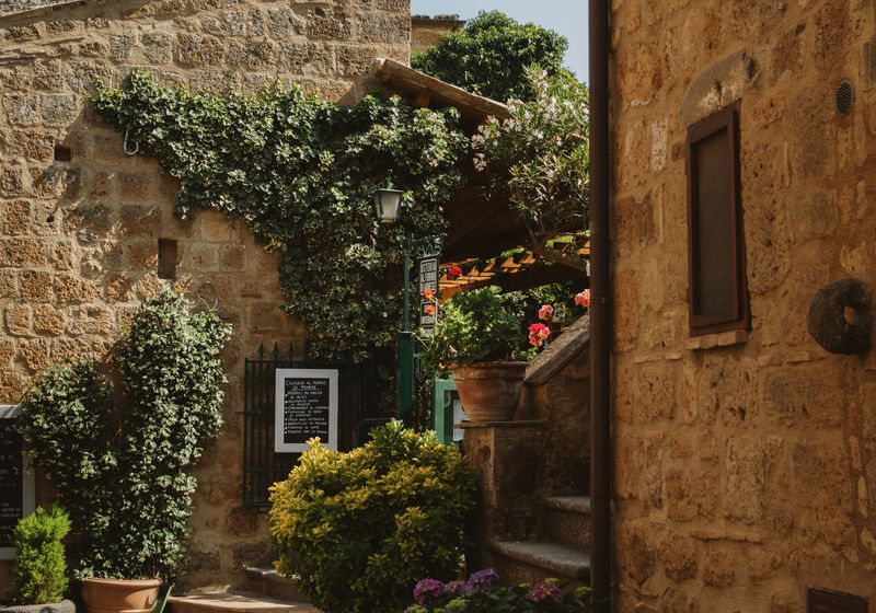 A narrow stone alley covered in plants