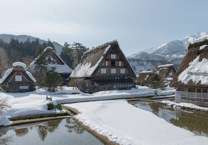 Thatched gassho-zukuri houses covered in snow